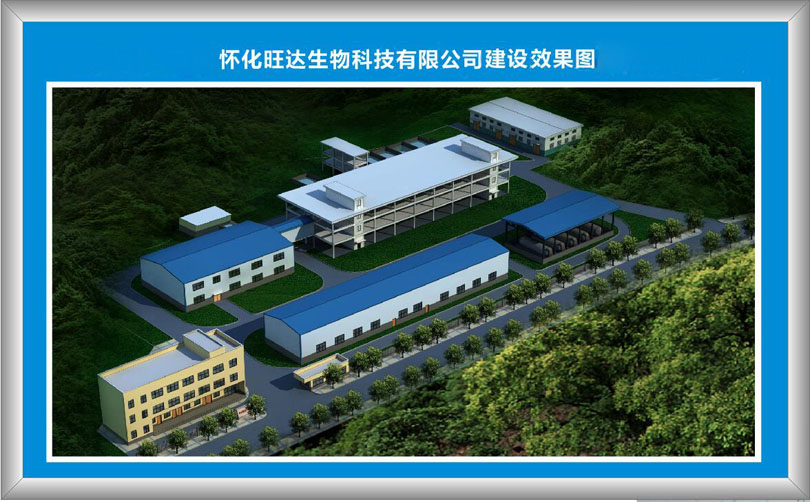 乐动在线,乐动在线(中国)